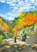 futari-solo-camp.jpg